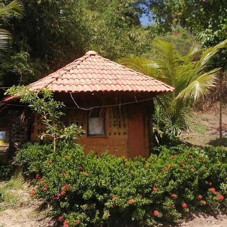 Ecopousada Casa Do Carimbo Fortalezinha Алґодоал Екстер'єр фото